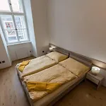 Gasthuis Vratislavsky Dum 3*