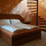 Gasthuis Vratislavsky Dum 3*