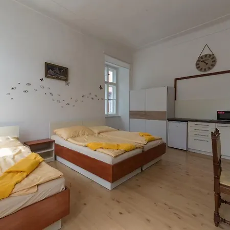 Vratislavsky Dum 3*